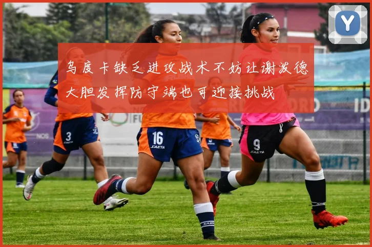 乌度卡缺乏进攻战术不妨让谢泼德大胆发挥防守端也可迎接挑战