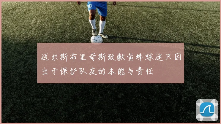 迈尔斯布里奇斯致歉黄蜂球迷只因出于保护队友的本能与责任